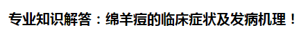 專業(yè)知識(shí)解答：綿羊痘的臨床癥狀及發(fā)病機(jī)理！