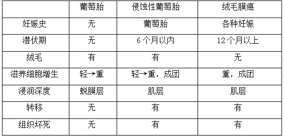 絨癌、侵蝕性葡萄胎、葡萄胎的鑒別