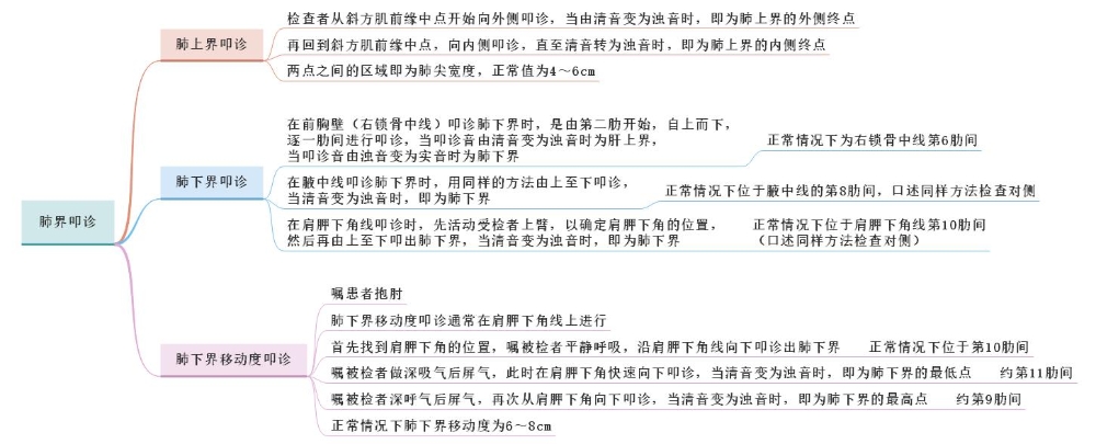 體格檢查——肺界叩診、肺下界移動(dòng)度叩診