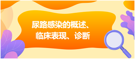 尿路感染的概述、臨床表現(xiàn)、診斷